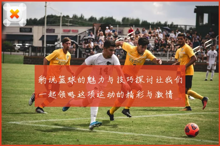 豹说篮球的魅力与技巧探讨让我们一起领略这项运动的精彩与激情