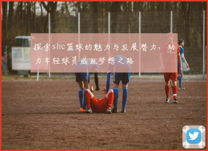 探索shc篮球的魅力与发展潜力，助力年轻球员成就梦想之路
