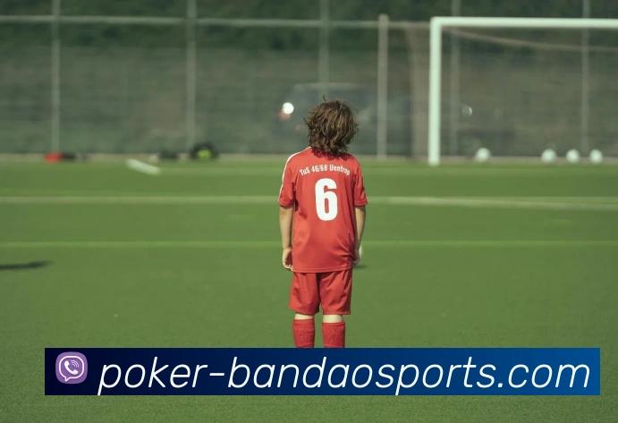 官方入口发展历程